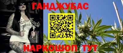 гашик Берёзовский